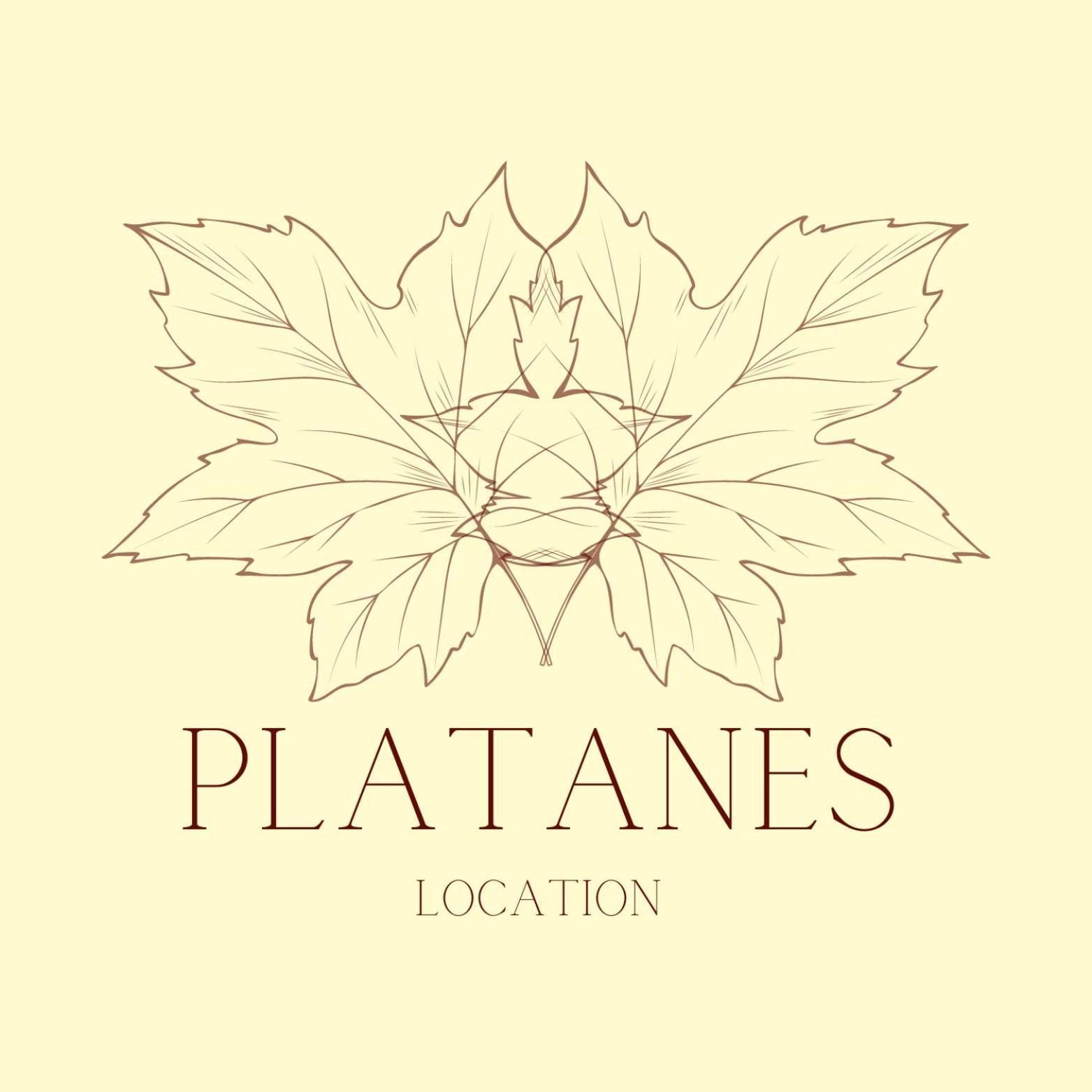 Hotel Platanes - Kb Hotel Group Etauliers Exterior foto